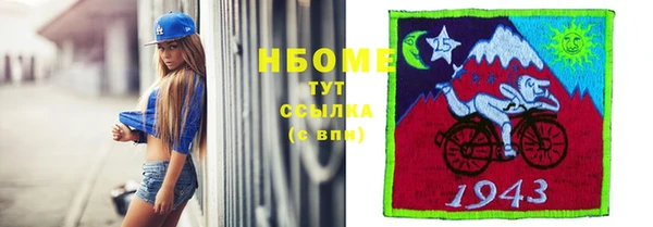 шишки Алзамай