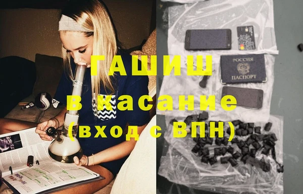 шишки Алзамай