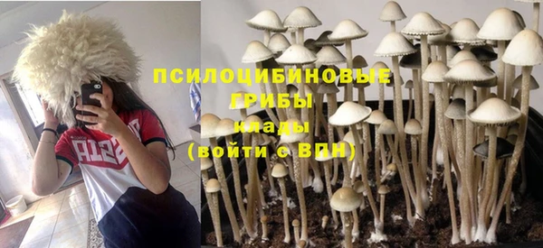 прущий лед Алексин