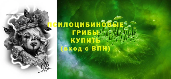 прущий лед Алексин