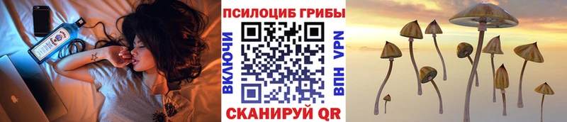 Псилоцибиновые грибы мухоморы  KRAKEN ТОР  Брюховецкая  купить наркотики цена 